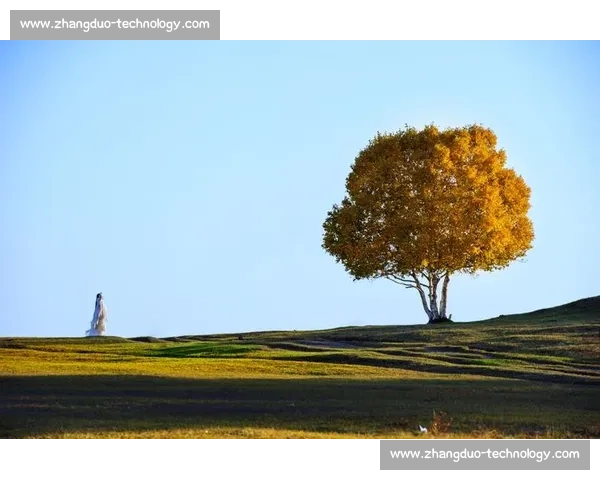 摄影比赛评分标准与作品创意表现综合评价指南