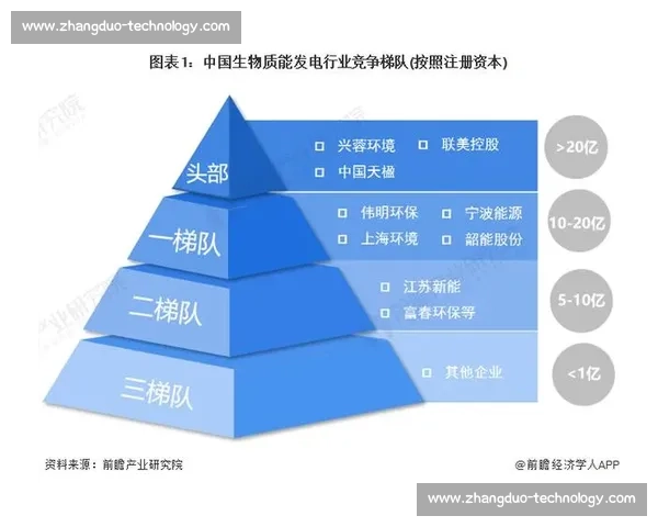 企业行业地位分析：从领先企业到市场挑战者的竞争格局与发展趋势