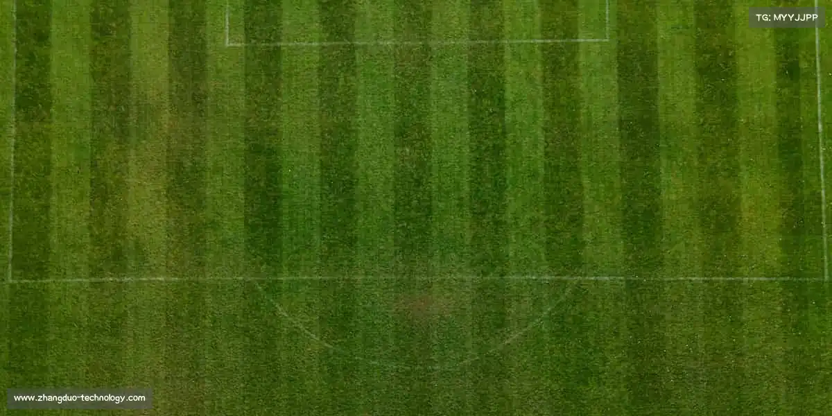 壹号娱乐🏋️‍♀️汗水滴落的地方，必有成长的光芒！